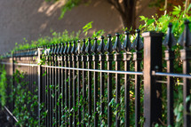 wrought iron fence 