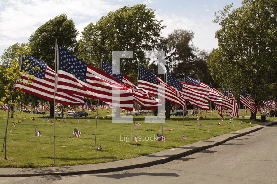 American flags lining a street 