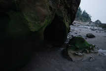 mossy rock on a beach 