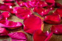 rose petals 