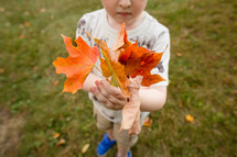 a boy child holding fall leaves 