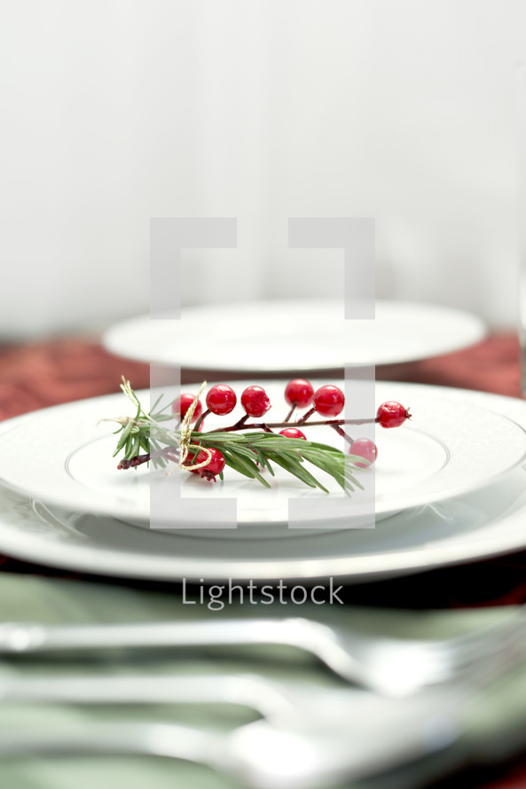 berries on a plate for Christmas dinner 