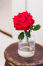 single red rose in a vase on a stool 