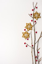 red berries, berries, sticks, background, border, ginger snap, star, cookie