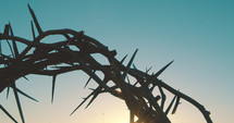 crown of thorns against a sky at sunrise 