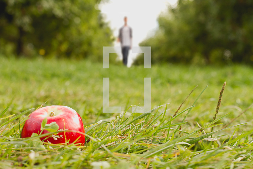 A man walking toward an apple lying on the grass