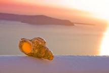 seashell and a sunset