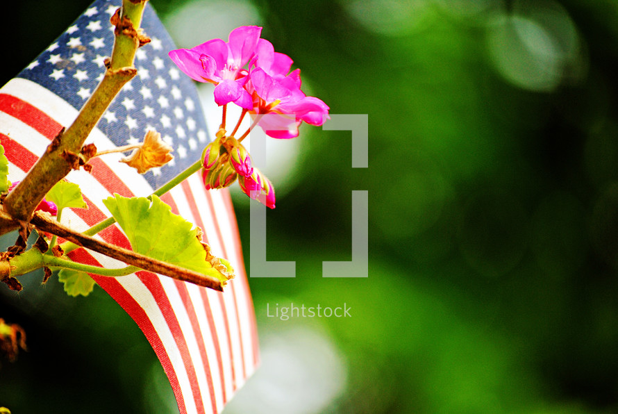 American flag and pink flowers