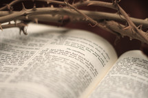 crown of thorns over the pages of Bible 