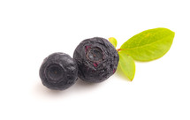 blueberries on a white background 