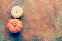 pumpkins on rustic background