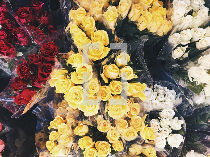 roses at a flower stand 