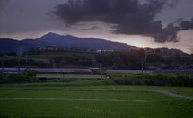 train crossing between a field and distant mountains 