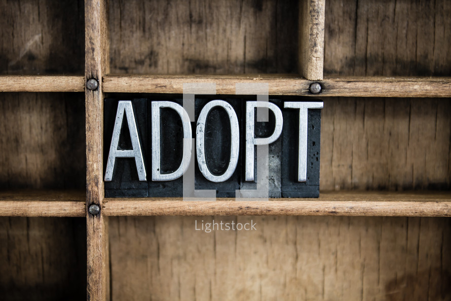 word adopt in blocks on a shelf 