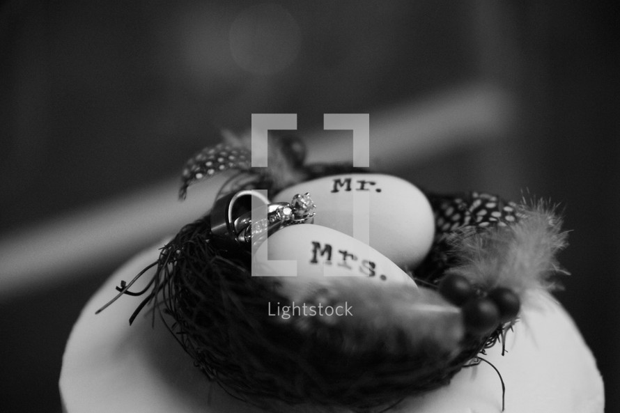 wedding bands on eggs in a birds nest 