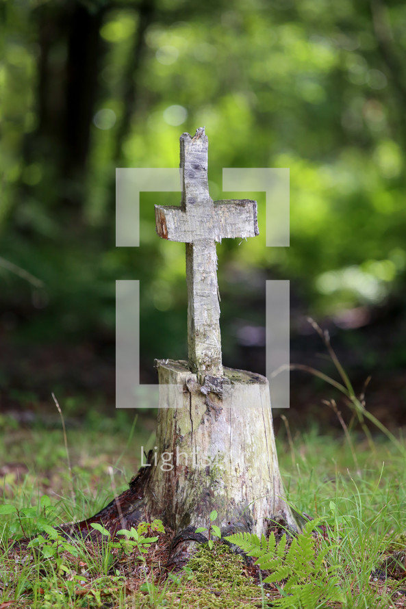 cross carved into a tree trunk 