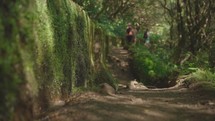 People hiking on a trail in Azores, Portugal.