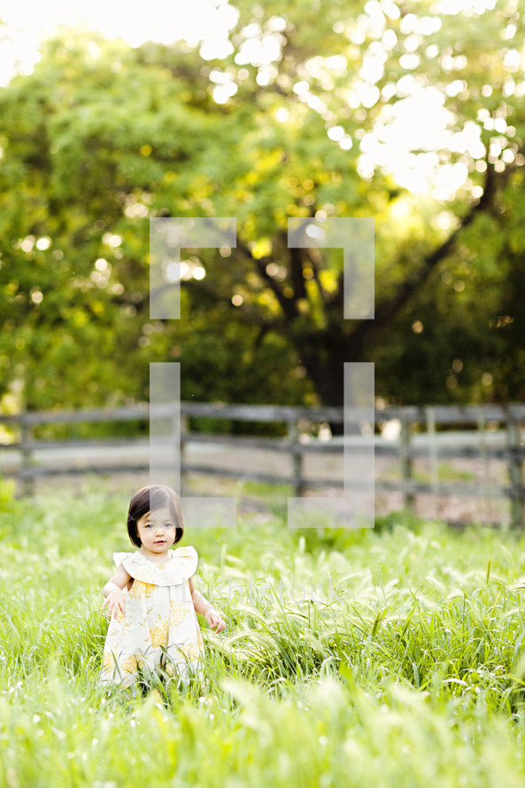 dark hair toddler girl playing in tall green grass field with fence yellow dress