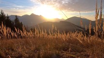 Light of sun at sunrise over alpine mountains landscape with dry grass moving in breeze wind
