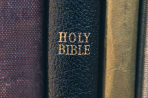 Holy Bible on a bookshelf with other books 