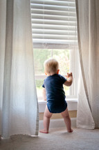 infant boy in a window 
