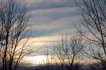 bare trees and a winter sunset 