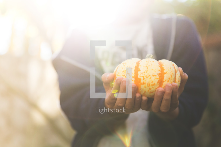 person holding a striped pumpkin in bright sunlight 