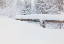 snow covered log and snowbank