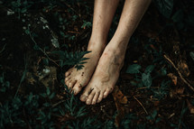 barefoot in a forest 