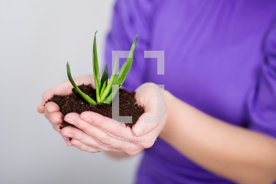 woman holding an aloe plant and soil in her hands