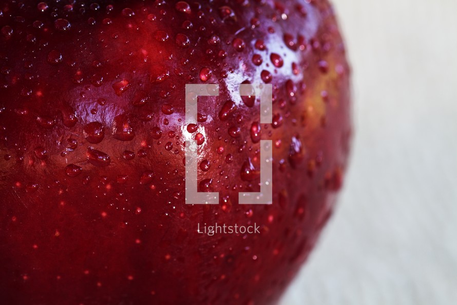 A close up look at a red apple