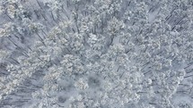 Aerial view above snow covered tree forest. Winter Forest Nature Snow Covered Winter Trees. 