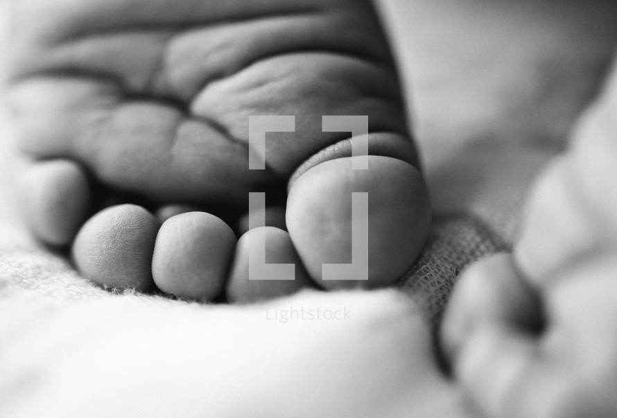 A closeup of the back of a baby's foot