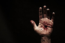 The bloody and nail-scarred hand of Jesus.