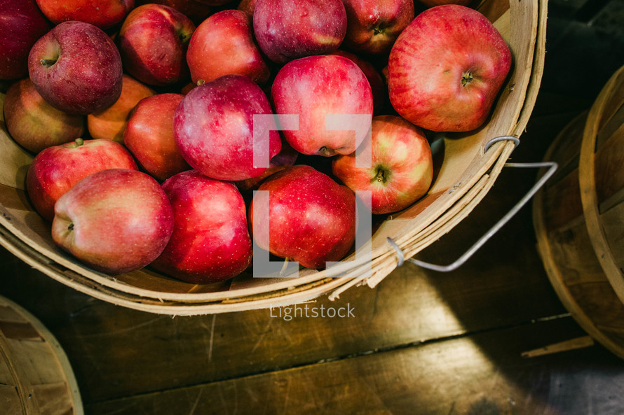 apples in a basket 