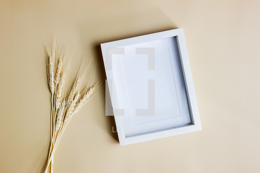 wheat and blank frame 