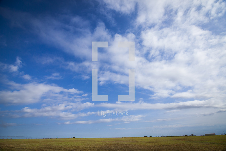 grassy plains and blue sky 