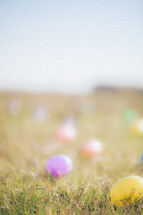 Easter eggs in the grass