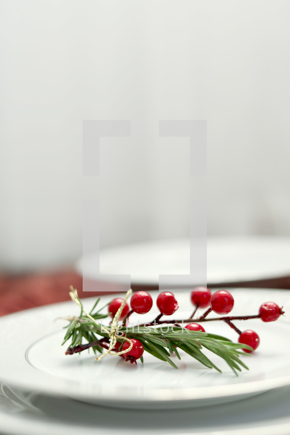 red berries on a white plate 