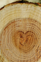 heart ring on a tree 