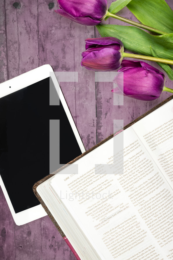 purple tulips, ipad, open Bible, pages