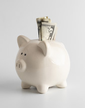 piggy bank against a white background 