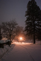 winter scene at night 