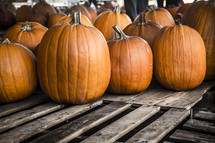 pumpkins on wooden pallets.