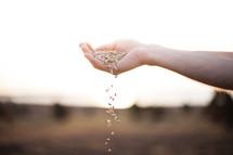 hand sprinkling seeds