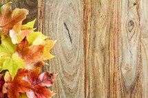 border of fall leaves on wood 