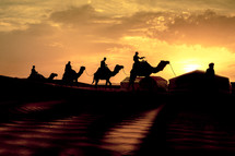 silhouettes of camels crossing a desert 