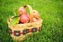 basket of red apple 