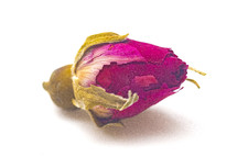 dried rose bud 