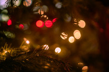 Christmas Tree Branch and Bokeh
